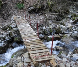 passerellecheniaz.jpg passerelle de la Cheniaz